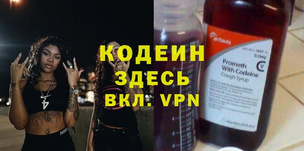 индика Корсаков