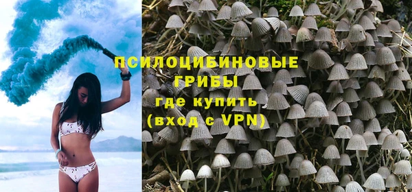 прущие крисы Коряжма