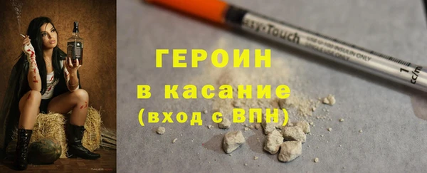 индика Корсаков