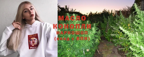 индика Корсаков