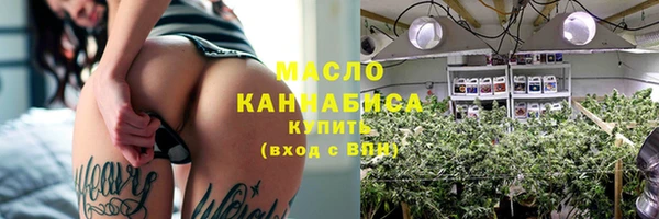 индика Корсаков