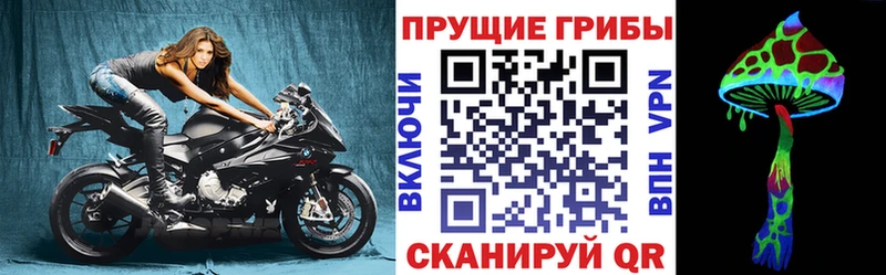 Псилоцибиновые грибы GOLDEN TEACHER  Пущино 