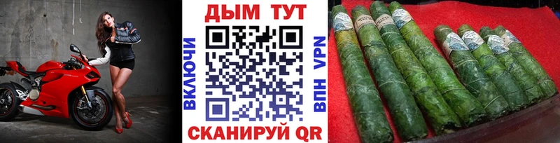 Конопля планчик  Пущино 
